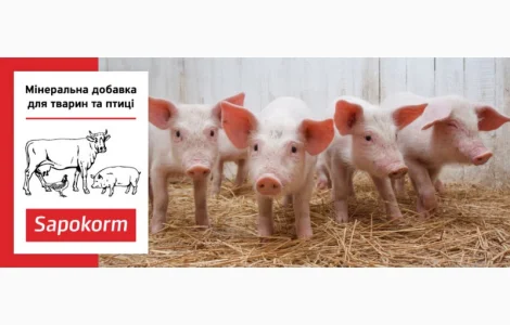 Сапокорм - мінеральна добавка для відгодівлі свиней, 1 тона, мішки