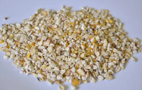 Кукурудзяний зародок