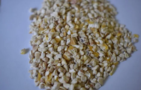 Зародок кукурудзяний