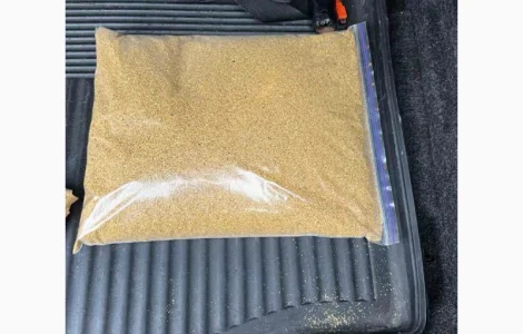 Сухая барда