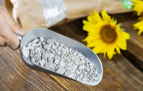 Високопротеіновий соняшниковий концентрат