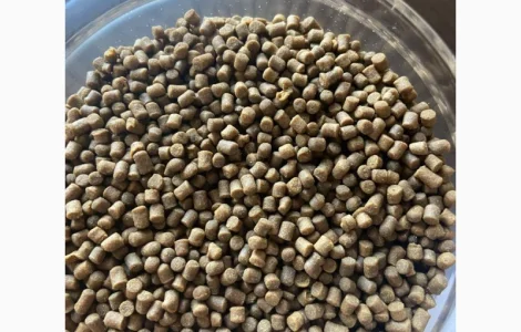 Корм Fishery Tech Deepdine Pro для осетра, форелі (1, 0; 2, 0; мм)