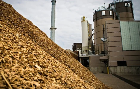 Куплю відходи для кормів будь які