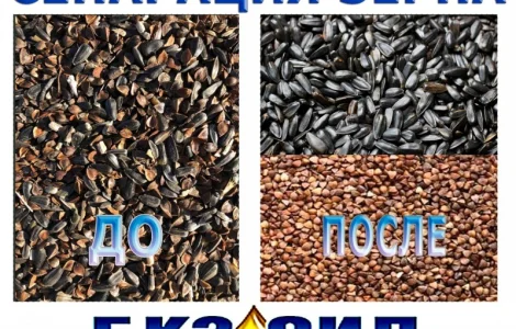 Послуги з сортування