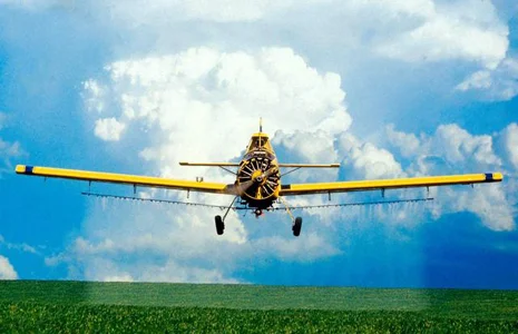 Десикация подсолнечника кукурузы Днепропетровск услуги самоходного опрыскивателя