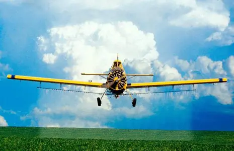 Десикация подсолнечника кукурузы Днепропетровск услуги самоходного опрыскивателя