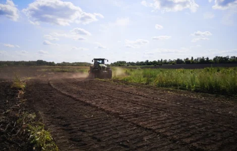 Послуга розкорчовки рослинності