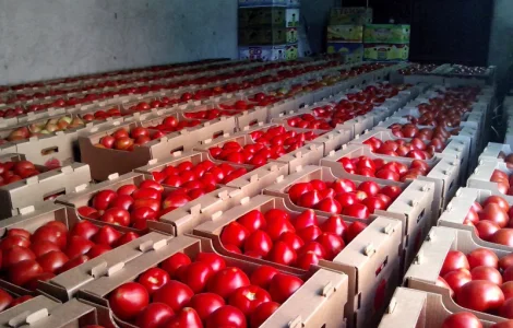 Продается ящик для помидоров из гофрокартона