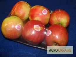 Лотки из полисторола для овощей и фруктов