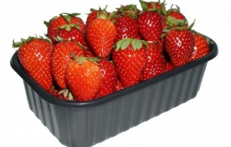 Пинетка лоток судок стаканчик упаковка для ягод Клубники Малины Смородины Овощей Фруктов