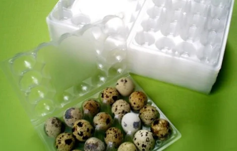 Лоток на перепелині курині яйця 10 20 Від виробника гофро пластикова тара упаковка яєць
