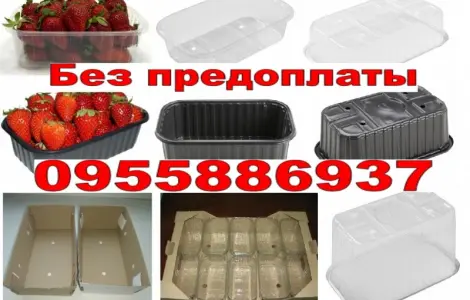 Пінетки 0