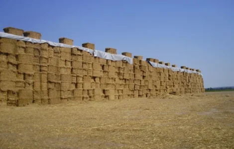 Тены для зерна 15 х 20