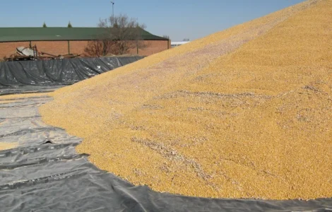 Тенты для зерна 4 х 6