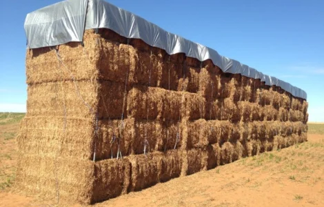 Тенты для сена 10 х 15