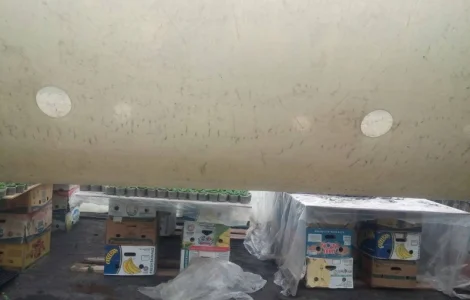 Отопление теплиц