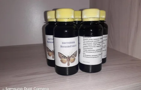 Настоянка воскової молі