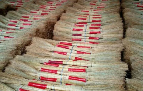 Веники сорго