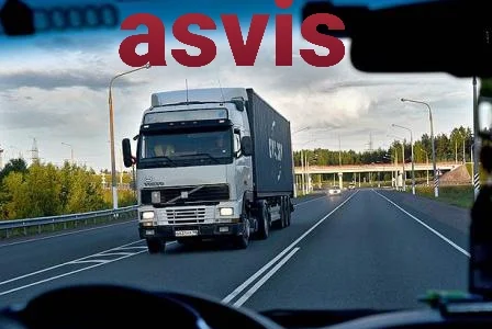 Детективное агентство Asvis