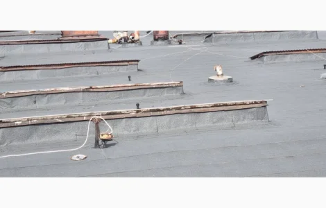 М'яка покрівля у Олександрії