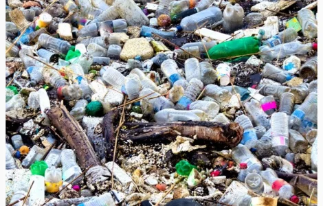 Есть покупатели на битые бутылки