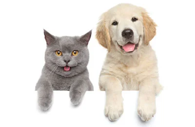 Гідролізат печінки (собаки