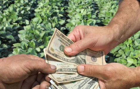 Вам нужен кредит? Не могу понять? Эти вопросы решаются