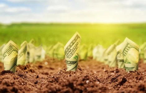 Предоставление финансового кредита