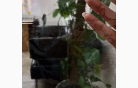 Плёнка прозрачная 0.09мм только в рулонах