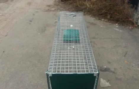 Живоловушка для отлова собак. Собаколовка. Живоловка 1, 5 м. Волонтерам