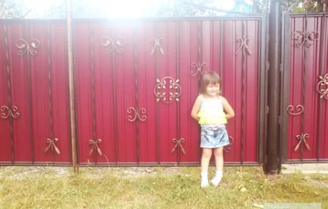 Забор из профнастила Киев