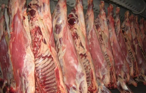 Свежая говядина и свинина в полутушах