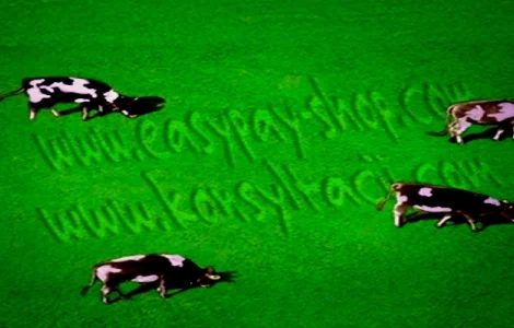 Менеджер (документооборот