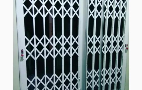 Розсувні грати Prof на вхідні двері