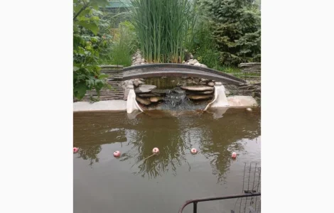 Будівництво різного типу водойм з подальшим зарибленням осетровими та бслуговуванням