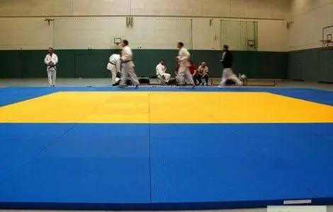 Маты татами универсальные для многих видов спорта 2*1 м.