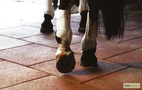 Резиновые дорожки