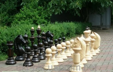 Фигуры шахматные для школы