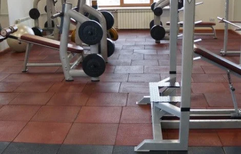 Резиновая плитка для тренажерного зала