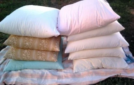 Приедим и купим б/у перья и свеежее утиное гусиное