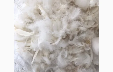 Продаём пух перо