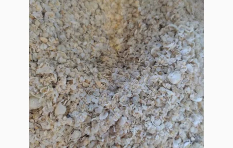 Отходы желтого гороха от производителя