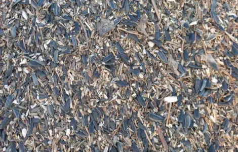 Закупаем отходы подсолнечника деловые