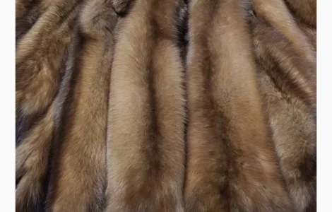 Купуємо шкірки Куниці