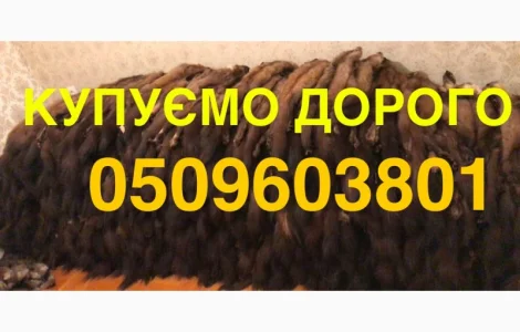 Купуємо хутро шкіри куниці ДОРОГО мех