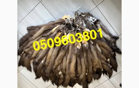 Вичинена куниця лісова/вичинка заводська