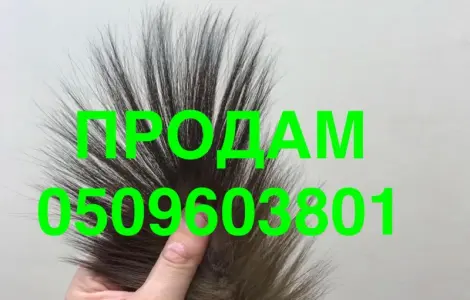 Продам хвосты куницы лесной и каменки