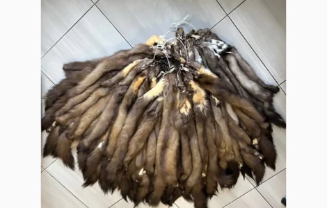 Хутро куниці вичинене