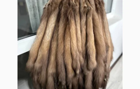 Купую шкури куниці