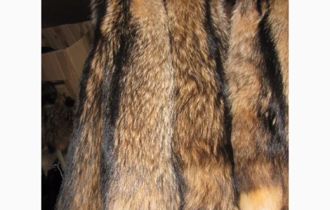 Продам шкуры енота